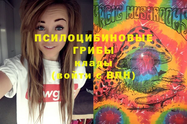 прущая мука Фёдоровский